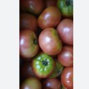 유기농장 이미지