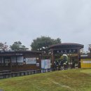 갈대정원 | 순천만습지 갈대 &amp; 순천만국가정원 방문 후기