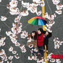 제일원떡방앗간