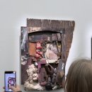 신성동물병원 | 데미안 허스트 <진실은 없어 그러나 모든 건 가능하지 ㅣ심약자주의, 시청주의 ⛔️⛔️ㅣ 국립현대미술관...