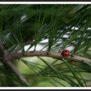 실내체육관 앞 이미지