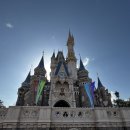 서울명의원 | 극 J의 여행준비와 후기 (아이랑 도쿄여행)