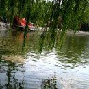 솜사탕노래연습장 이미지