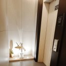 와바클래식 이미지