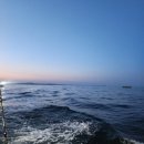 무창포해수욕장 2번화장실 | 9월 무창포 쭈꾸미낚시 후기(페가수스호 탑승,초보가 전하는 초보준비물,내돈내산후기)