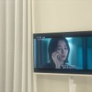 스테이 피치스 이미지