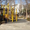 은행나무공원 이미지