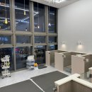 하남강아지 이미지