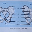 팔팔 두발로