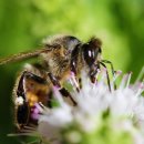 신창생한의원 이미지