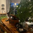 화순전대병원장례식당 | [전남_화순] 화순 전대병원 분위기 좋은 카페 ‘리데오커피’