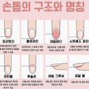 EDGE네일 이미지