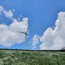 마지기로 이미지