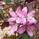 마동정미소 이미지