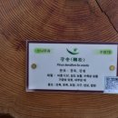 국립수목원 산림박물관 이미지