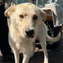 충청남도 계룡시 금암동 180-1 이미지