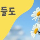 꽃들도 - 칠곡군 자조1길 9-18 | 꽃들도
