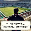 김천(서울) | FC서울 직관 후기 vs 김천상무 / 2025 K리그1 3라운드 안타까운 상암 잔디와 핵노잼 경기가 되버린 사연