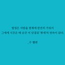 B&S 복싱 이미지