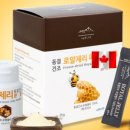 블루에이지 네이버블로그
