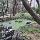 솔밭공원1 이미지