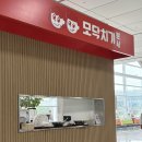성미목장 | [제주도] : 제주도 렌터카 꿀팁, 관광지 및 맛집 추천 지금 바로 읽어보세요