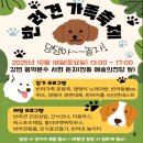 댕댕아 놀자 이미지