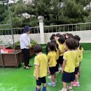 [9월 1주] 브로콜리 심기 &amp; 지구를 살리자 연극관람하기 이미지