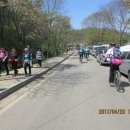 도화농장 이미지