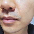 주식회사 본팜 네이버블로그