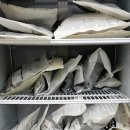 쌩쌩한의원 이미지