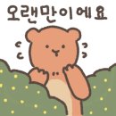마스터 홍 태권도 이미지