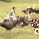 한국웰빙건강 Daum카페
