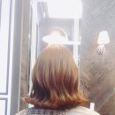 디토헤어 - 제주시 진군중길 8 | 디토헤어