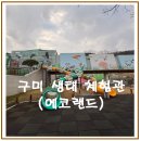 구미에코랜드 산림문화관 화장실 | 구미에코랜드, 경북 아이와 갈만한곳, 구미 실내체험관
