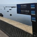 송라해송펜션 | 포항 화진해수욕장 송라해송펜션 방문후기