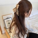 H8433 Daum카페