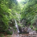 폭포수목장 이미지