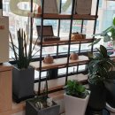 추사랑한의원 | 교통사고 추사랑한의원(홍보X일기O)