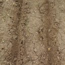 백경농장 이미지