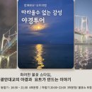 (주)마루투어 | 불꽃놀이와 드론쇼를 한번에? 부산요트투어 ‘요트마루’ 후기