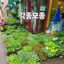 와우리유통