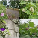 풍산2리 이미지