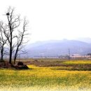 성식축사 이미지