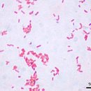 정성산업 이미지