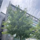 강서삼성안과의원 이미지