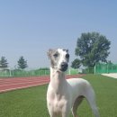 한천초등학교 이미지