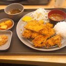 돈바우