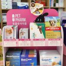 금성당약국 이미지