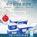 소형 아이스박스 냉장고 구매후기 싸게 사는 곳은 어디일까?